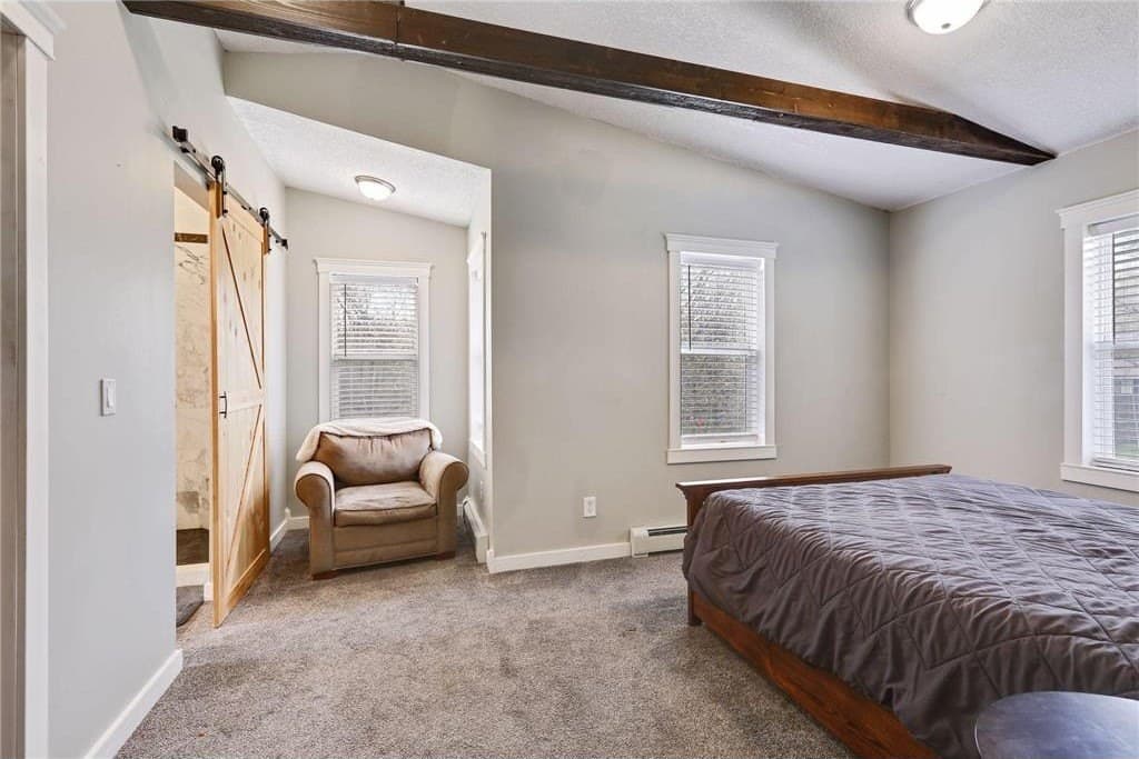 Master bedroom, barn door to the bath