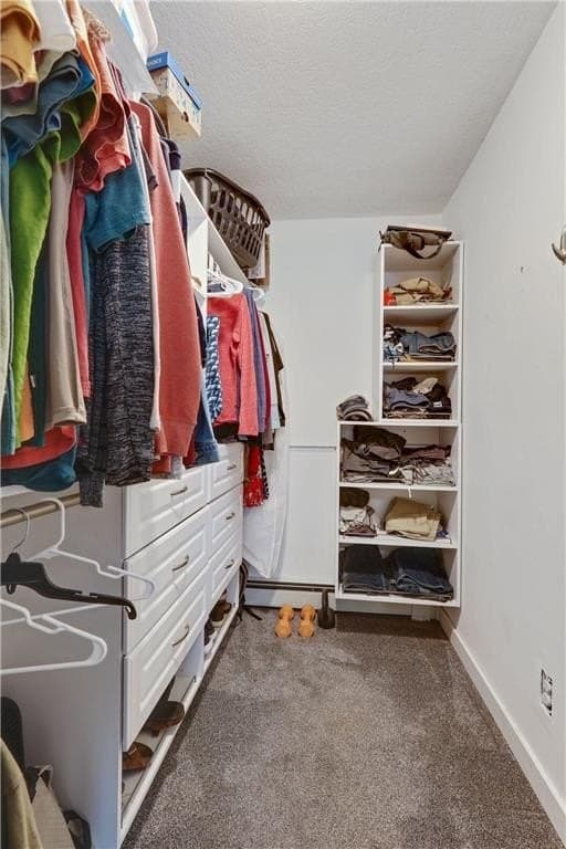 The walk-in closet with the built-ins