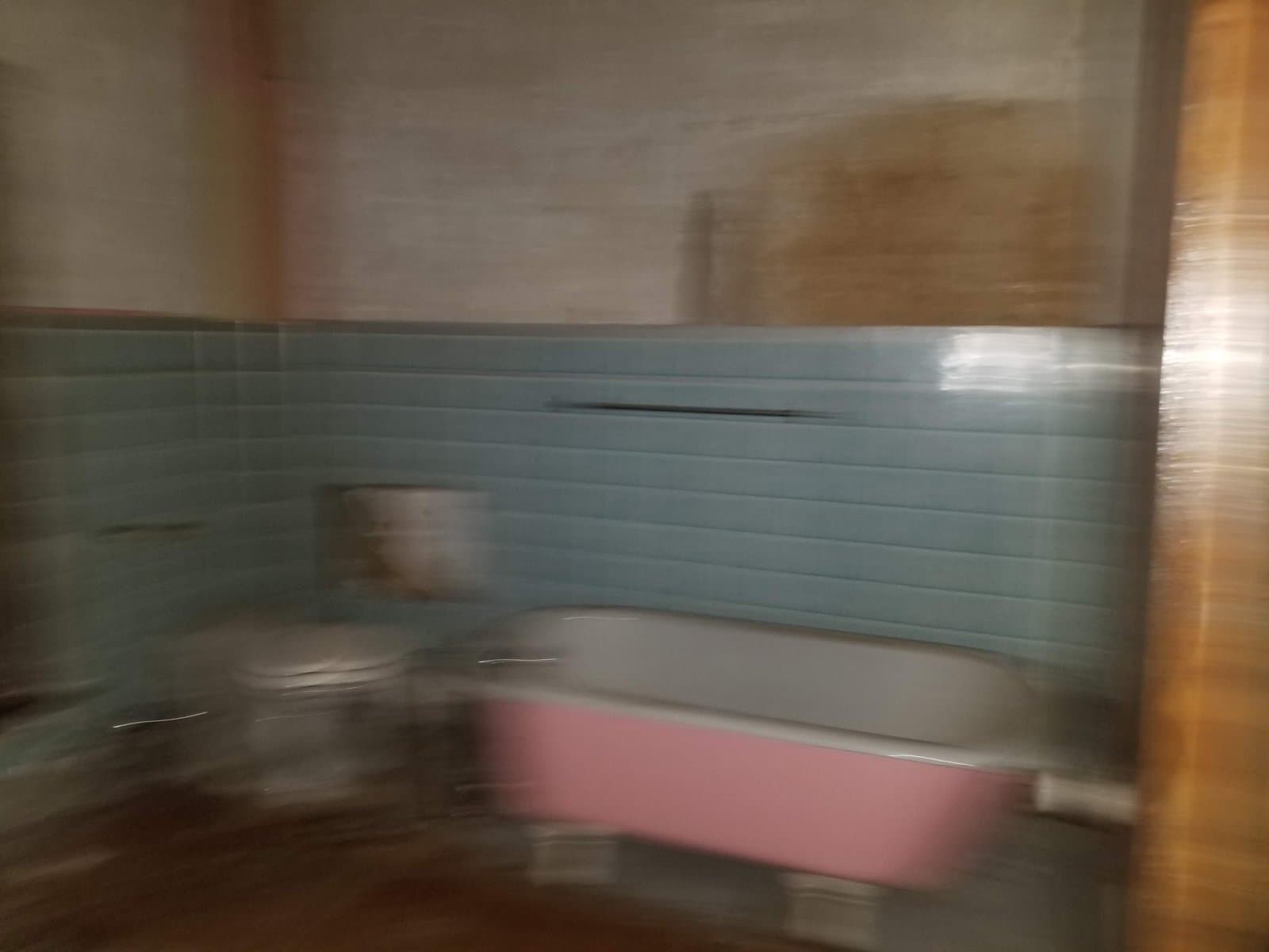 The only bathroom: pink tub, blue tile
