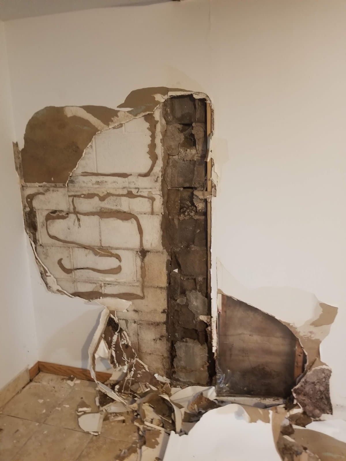 Finished basement wall opened up, wet block behind it